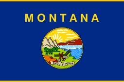 Montana Flag Sheet