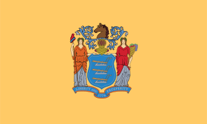 New Jersey Flag Sheet